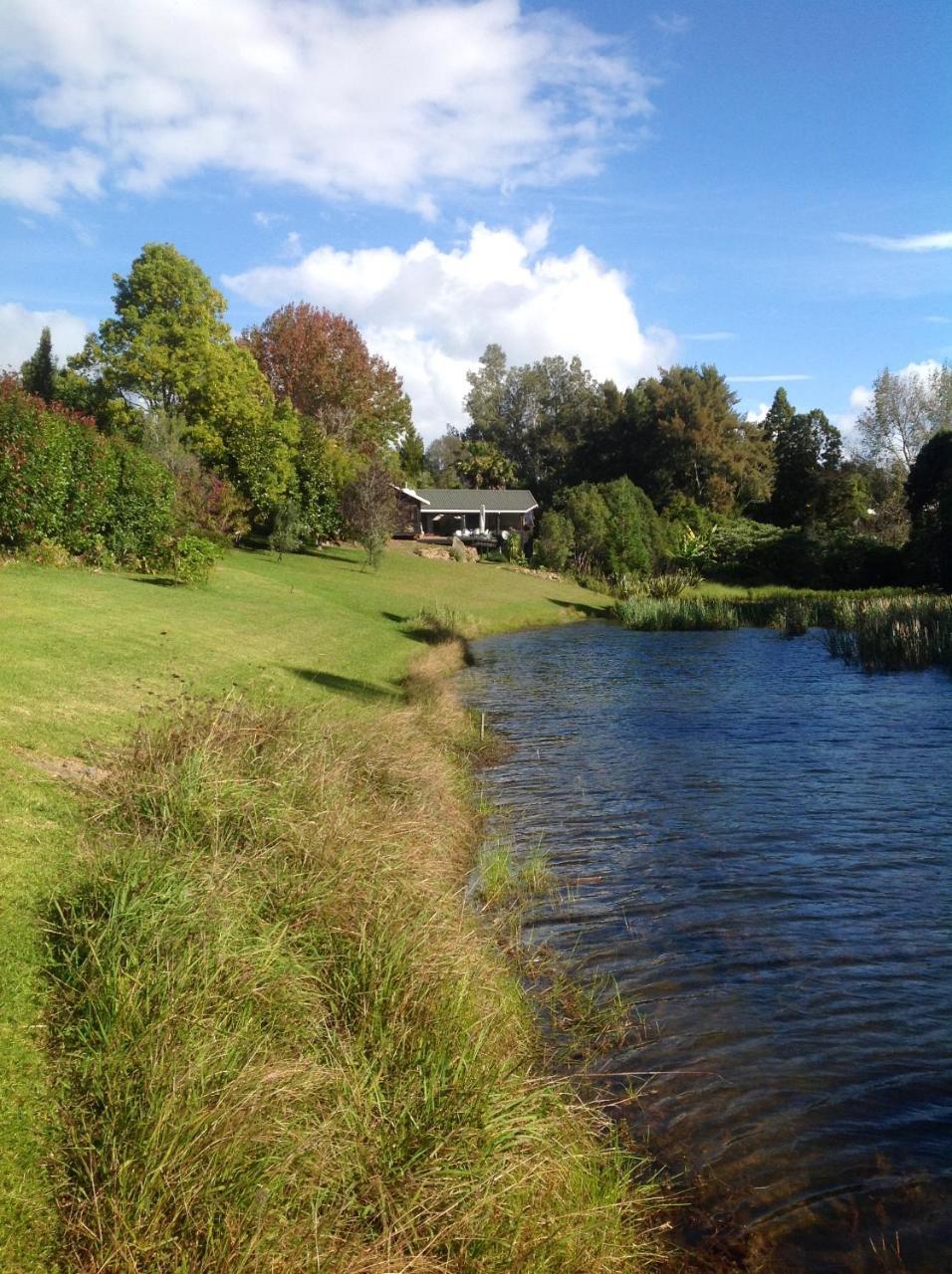 Lakehouse Studio Kerikeri Bagian luar foto